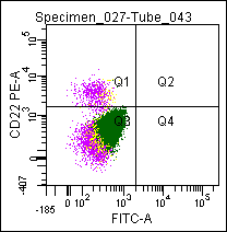 Figure 2. Flow cytometric analysis of a normal blood sample after immunostaining with GM-4053 (CD22-PE).